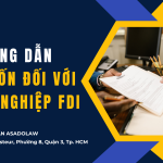 HƯỚNG DẪN THỦ TỤC TĂNG VỐN CHO DOANH NGHIỆP FDI TẠI VIỆT NAM MỚI NHẤT 2025